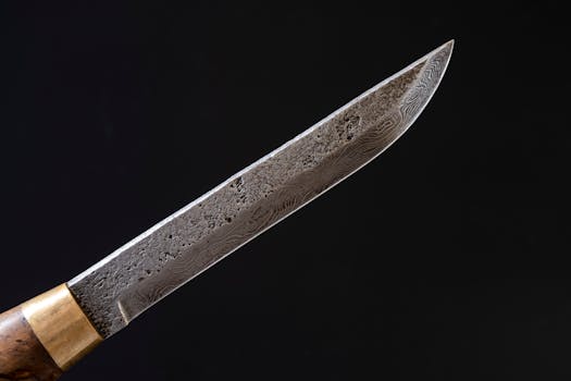 Houbaření v Česku: Průvodce tradicí, tipy a bezpečností