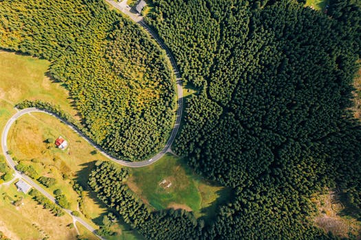 Houbaření v Česku: Průvodce tradicí, tipy a top lokalitami