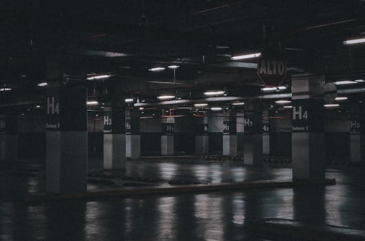 České houbaření: Tradice, psychologie a digitální vlivy