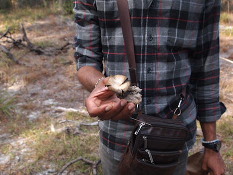Jak čeští houbaři přispívají k vědeckému výzkumu přírody